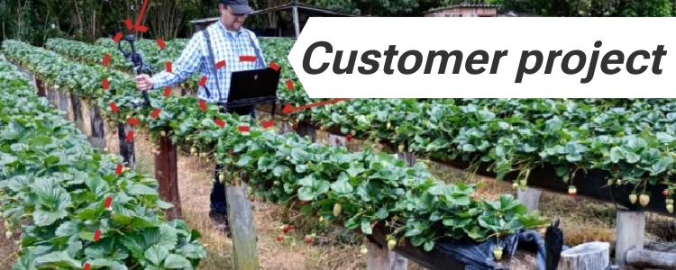 Customer project Strawberry yield mapping with camera and RTK